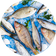 Fish & Seafood