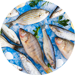 Fish & Seafood