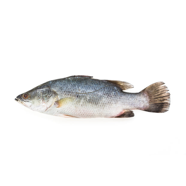Betki