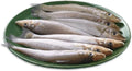 Murdussha / Kane  / Lady Fish