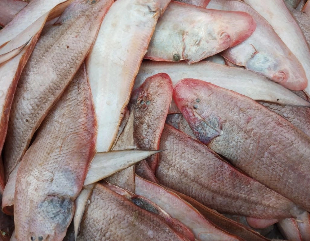 Lepa