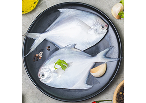 Pomfret Large [1 pc]