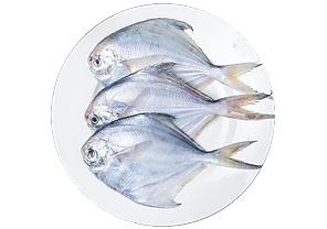 Pomfret Super [1 pc]