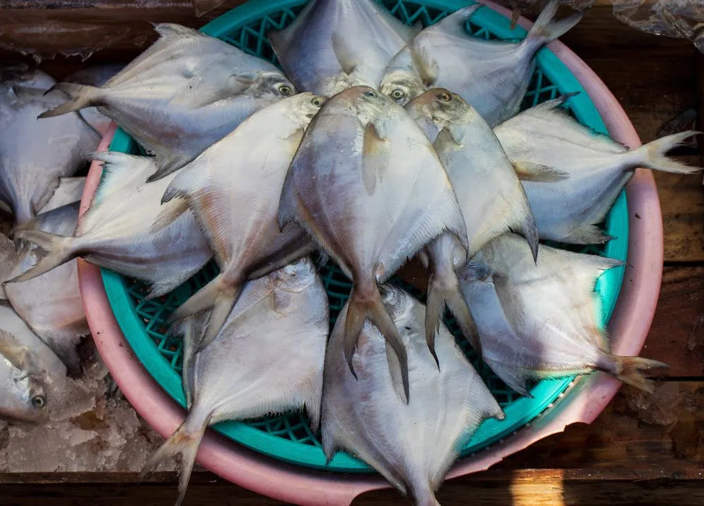 Pomfret Small [2 Pcs]