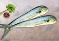 Mahi Mahi - Fillet