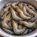 Tiger Prawns [12 To 15 Pcs]